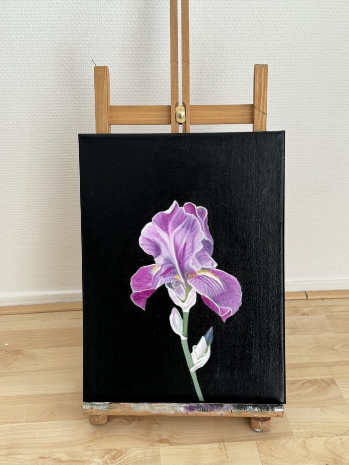 Art - Iris =Verkocht! - Afbeelding 2